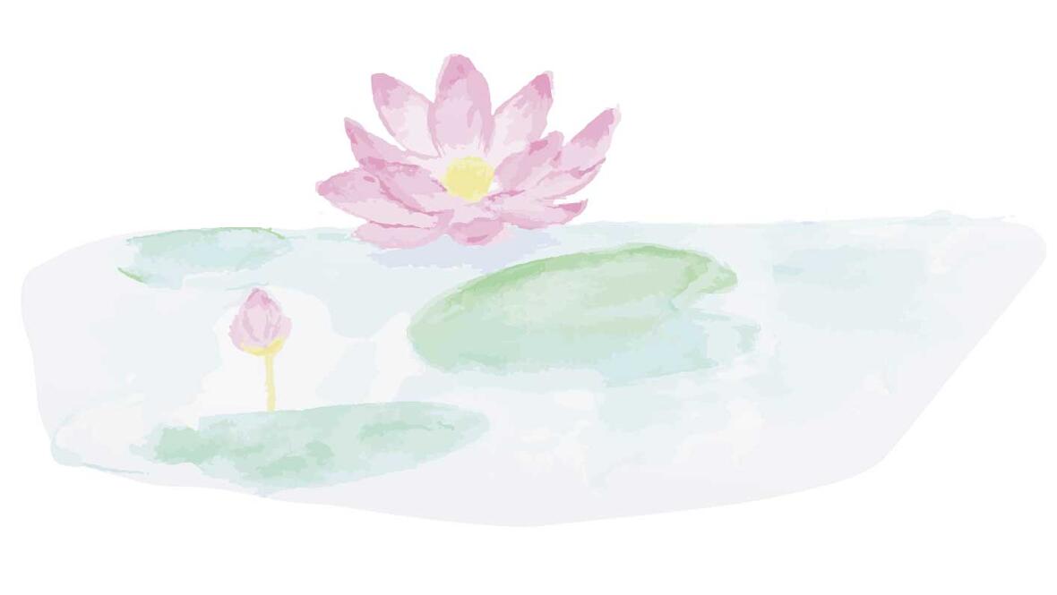 ハスの花のイラスト