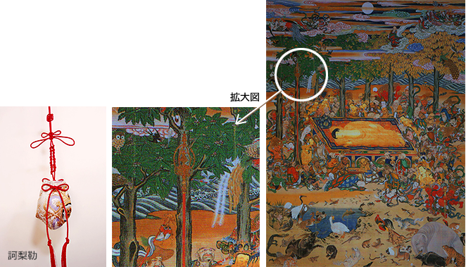 訶梨勒作りDVD＆材料セット販売のご案内 | 訶梨勒作りDVD＆材料セット